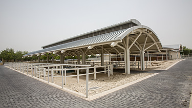 Das Al Shaqab Veterinärmedizinisches Zentrum ist national und international führend in der klinischen und diagnostischen Versorgung von Pferden