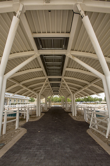 Überdachter Stall- und Behandlungsbereich im Al Shaqab Veterinärmedizinisches Zentrum mit Stahlkonstruktion, befestigtem Weg und Pferdeboxen