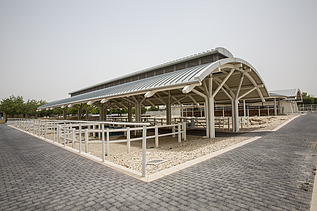 Das Al Shaqab Veterinärmedizinisches Zentrum ist national und international führend in der klinischen und diagnostischen Versorgung von Pferden